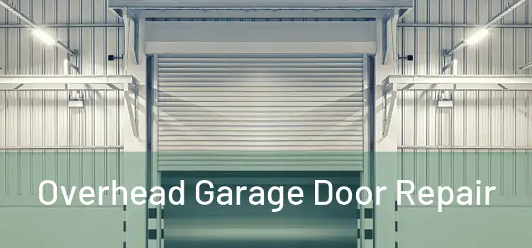  Overhead Garage Door Repair 